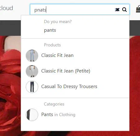 Search box suggestions generated by Einstein as the shopper types.