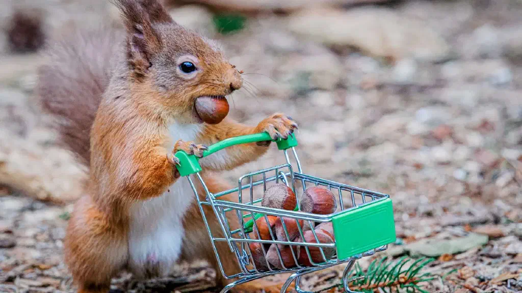 Server-Side Caching for Faster SFCC REST APIs