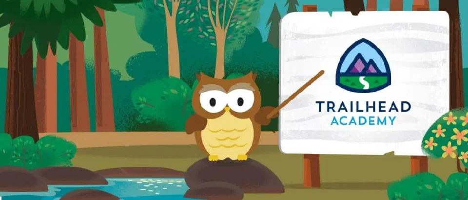 Trailhead Academy branding for the paid sandbox training option.