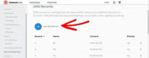 DNS record editor for the vanity domain.