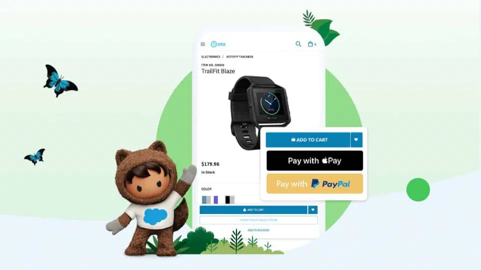 Salesforce Payments promotional artwork introducing the getting-started resources.