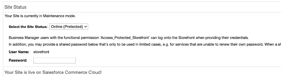 Protected storefront password field shown after enabling Online Protected.