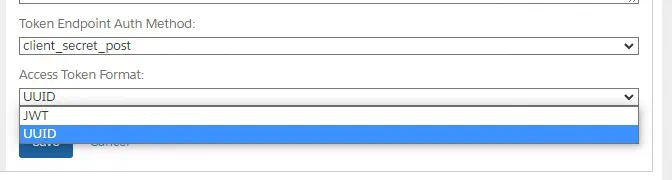 Account Manager screen showing API client token format options.