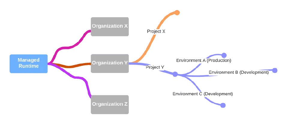 Mind map showing Managed Runtime organisations, projects, and environments with production and development types.